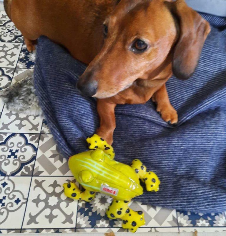 Teo 8 år
